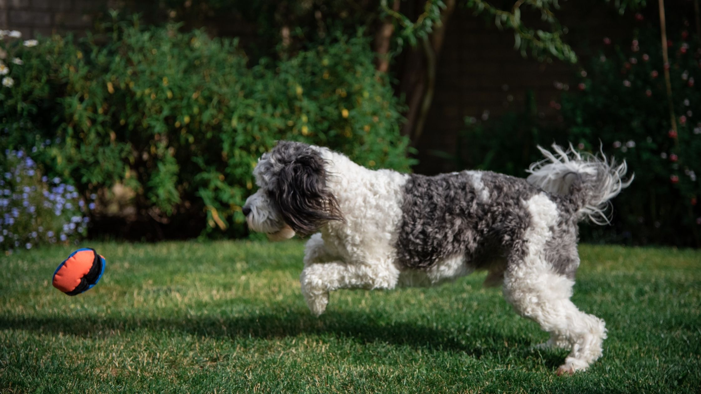 5 Fun Ways To Use The Clam