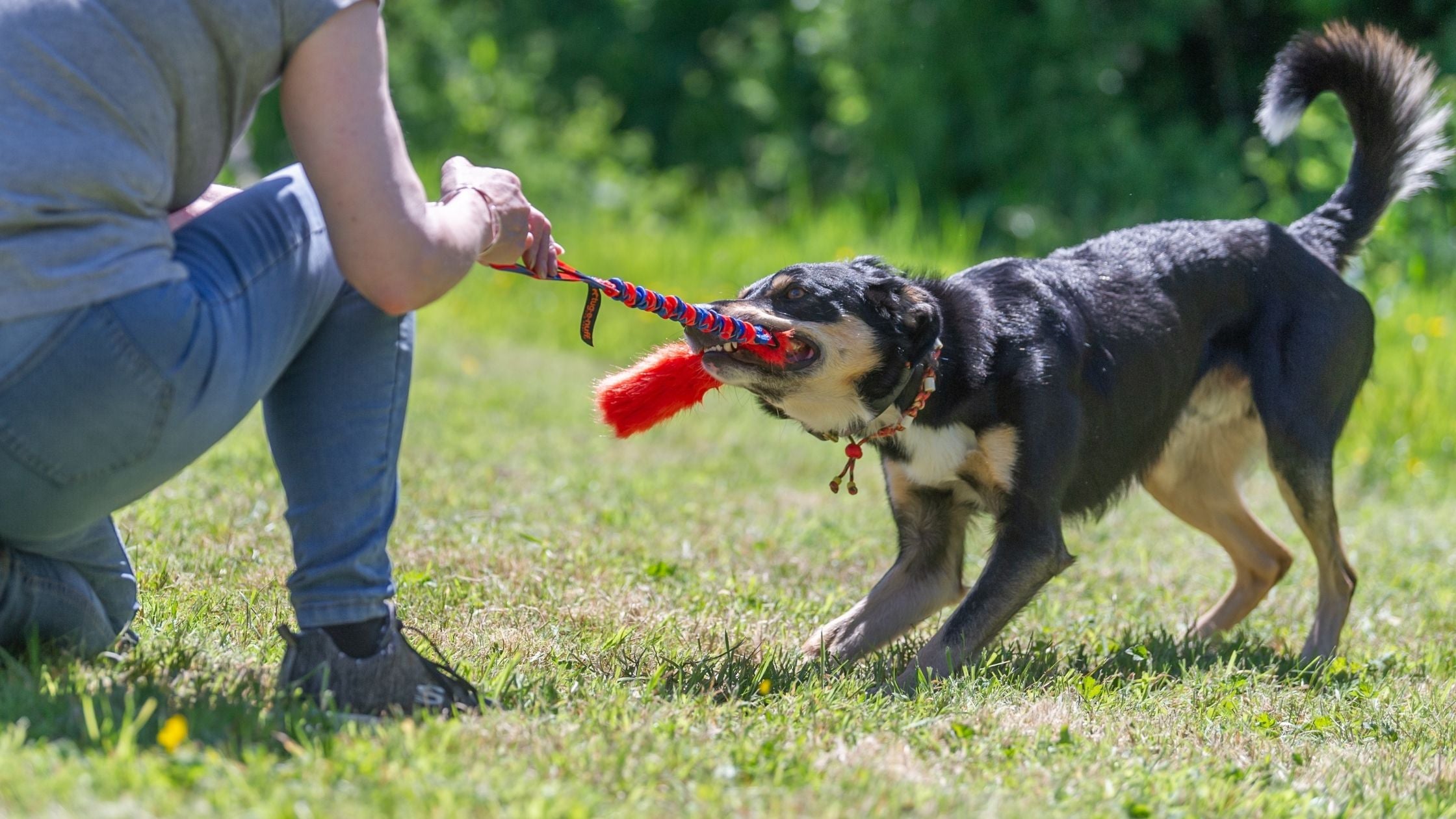 4 Myths About Playing Tug Debunked