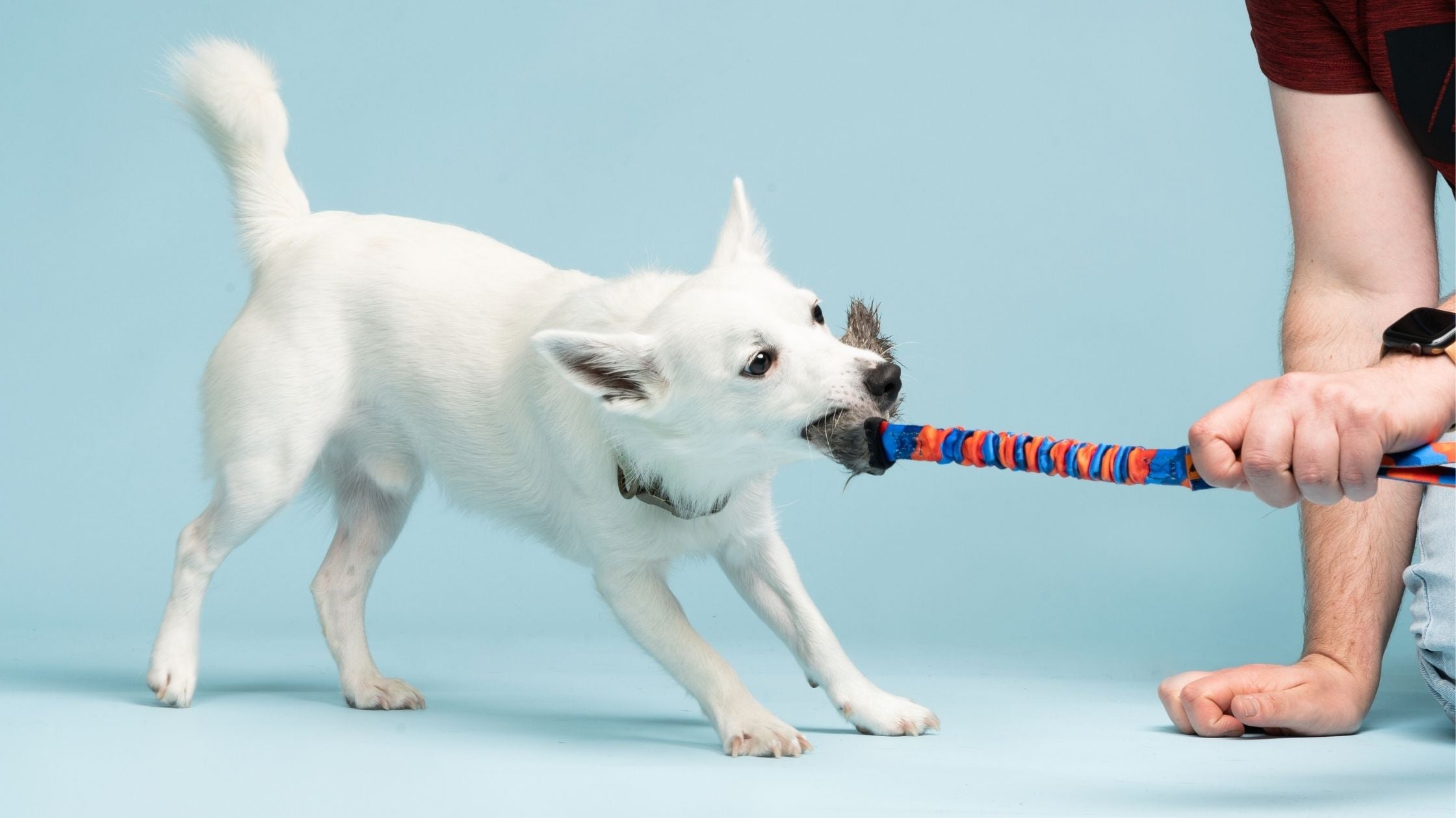 Why This ONE Toy Is Your Secret Weapon For Boosting Motivation