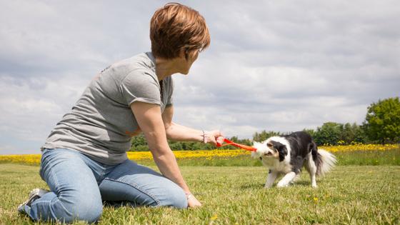 Friends With Benefits: Why Owning A Dog Is Good For Your Mental Health