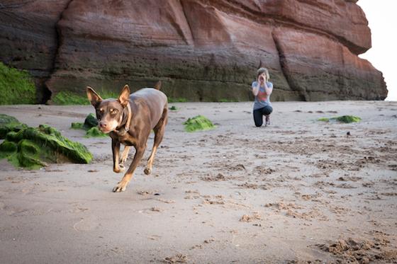 4 Reasons Why What You Say To Your Dog (And How You Say It) Matters