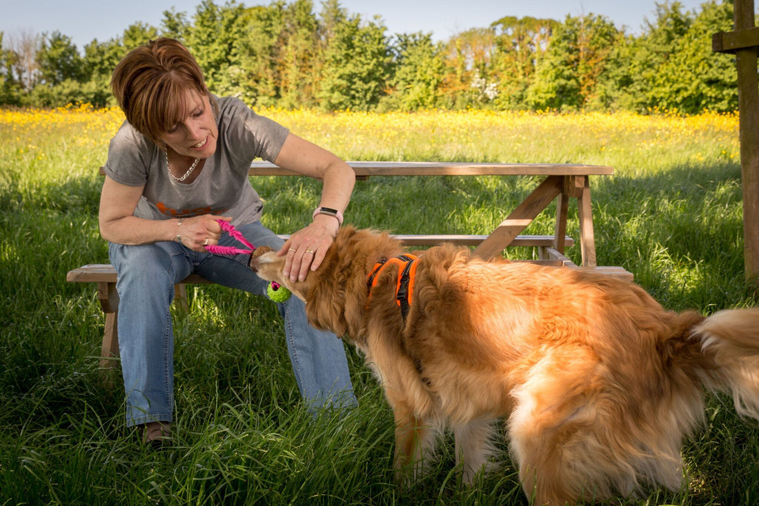 Help! My Dog Keeps Biting The Handle of My Tug Toy!