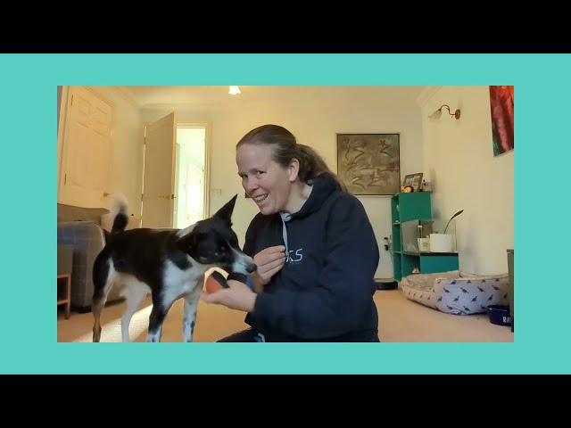 Helen Bannan - with dog