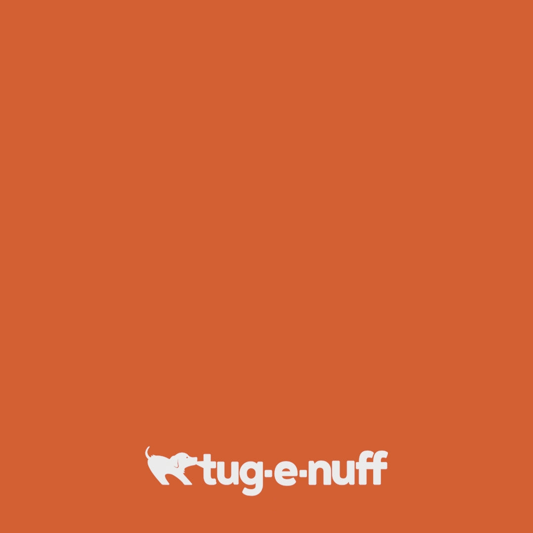 BOB: The 3-in-1 Dog Dummy