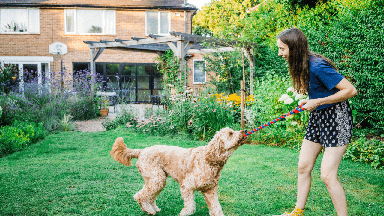 35 fun dog facts backed by science (don’t miss #12)