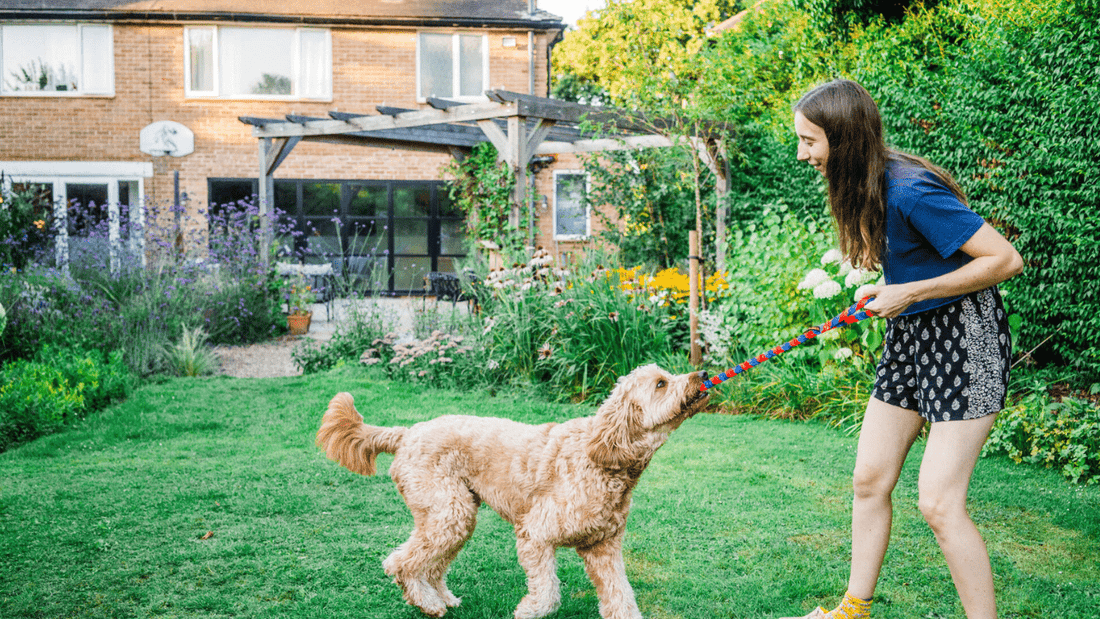 35 fun dog facts backed by science (don’t miss #12)