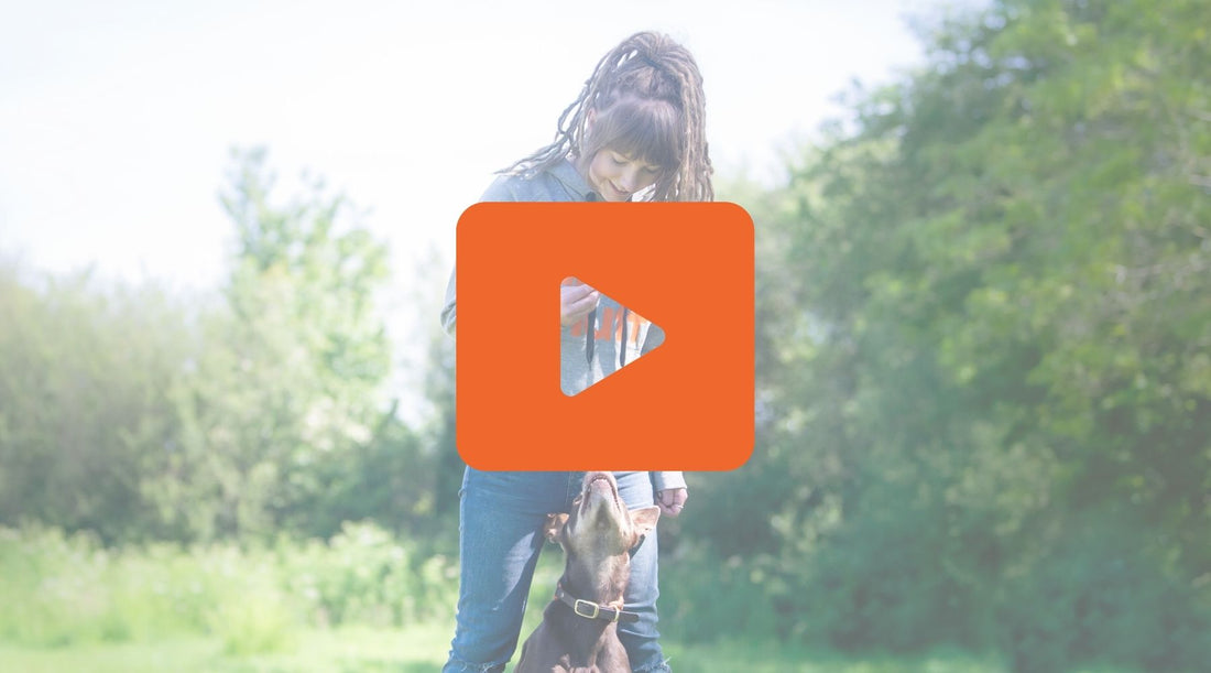 Top 5 Tug Questions Answered By Our Play Expert