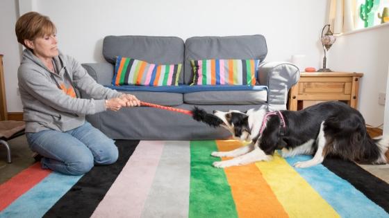 5 Easy Ideas for Making Indoor Play Super Fun