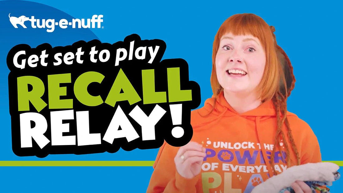 Play Recall Relay! Game Video for Dogs