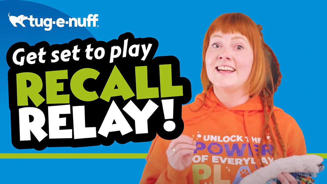 Play Recall Relay! Game Video for Dogs