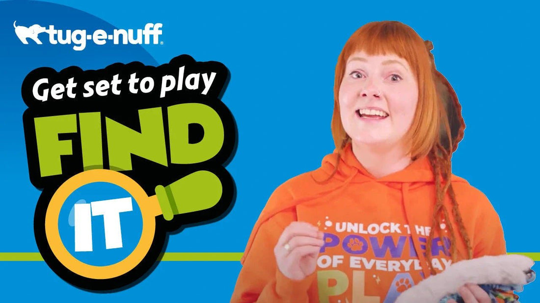 Find It - Game For Dogs