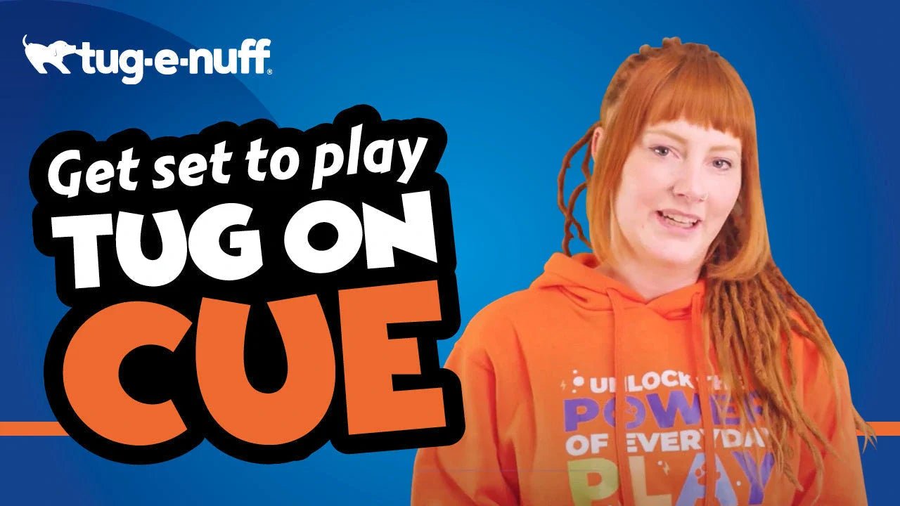 Get set to play Tug on Cue - Game for Dogs
