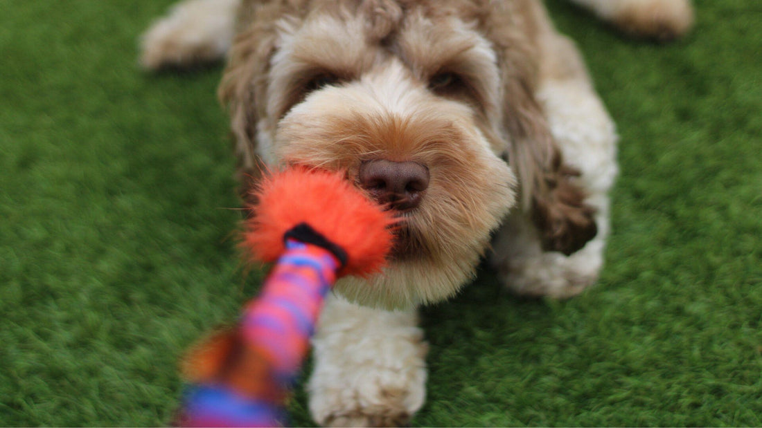 3 Fantastic Ways To Play With The Bright Fauxtastic