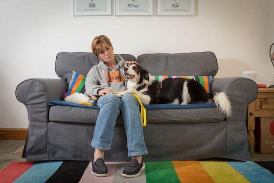 Why Downtime Is As Important As Training For Your Dog