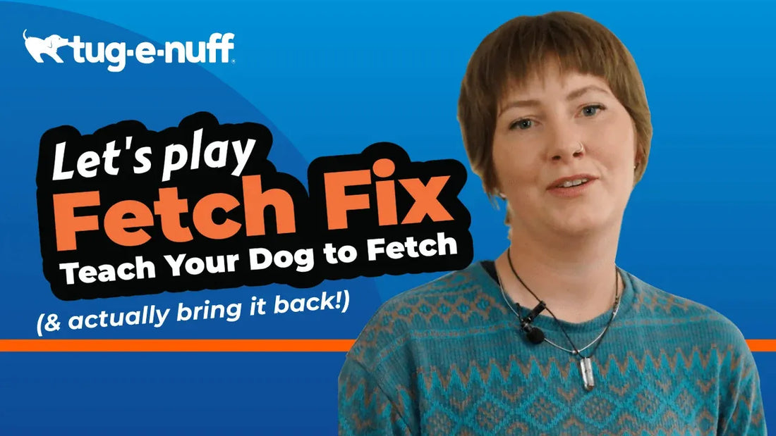 Video Title - Fetch Fix Teach your dog to play fetch