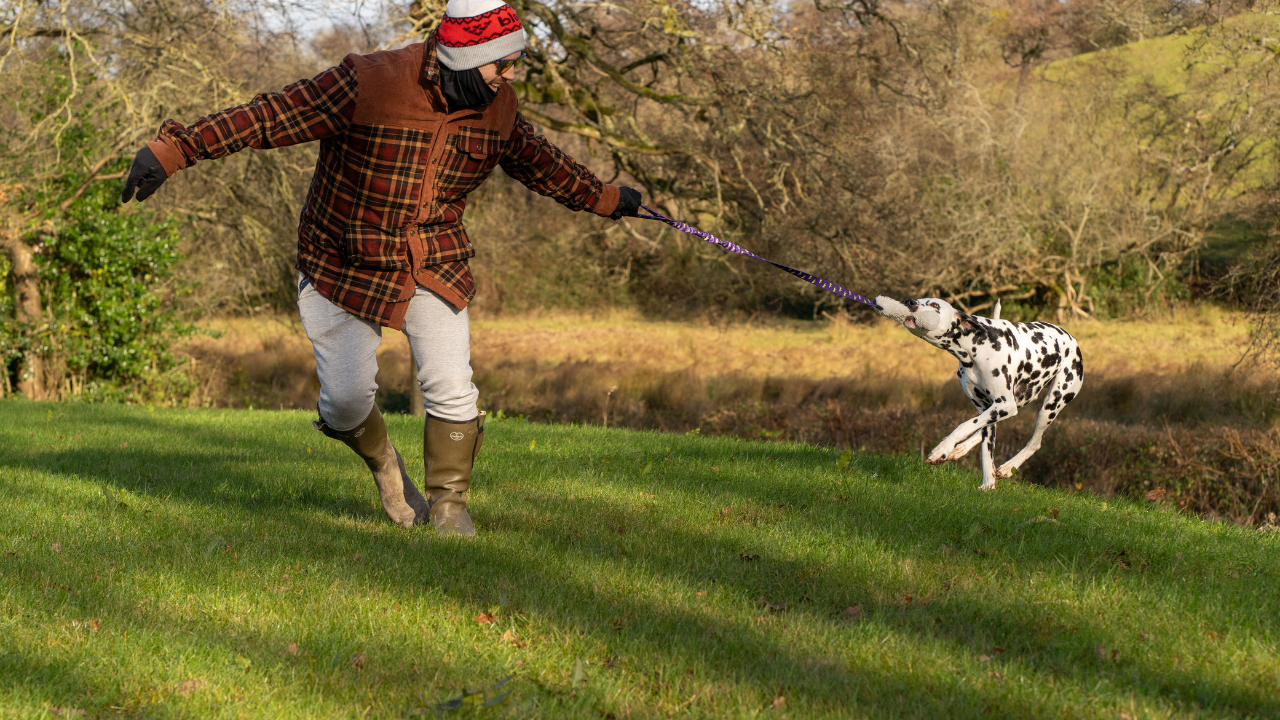 5 Fun New Year Resolutions For You & Your Dog