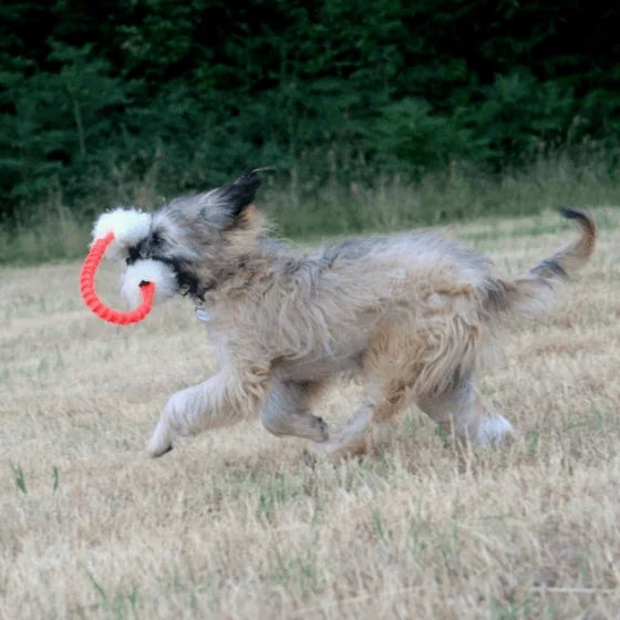Dog Running with Sheepskin Chaser Ring