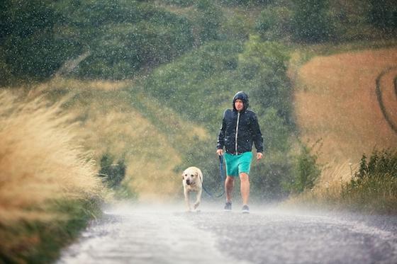 7 Rainy Day Dog Enrichment Ideas