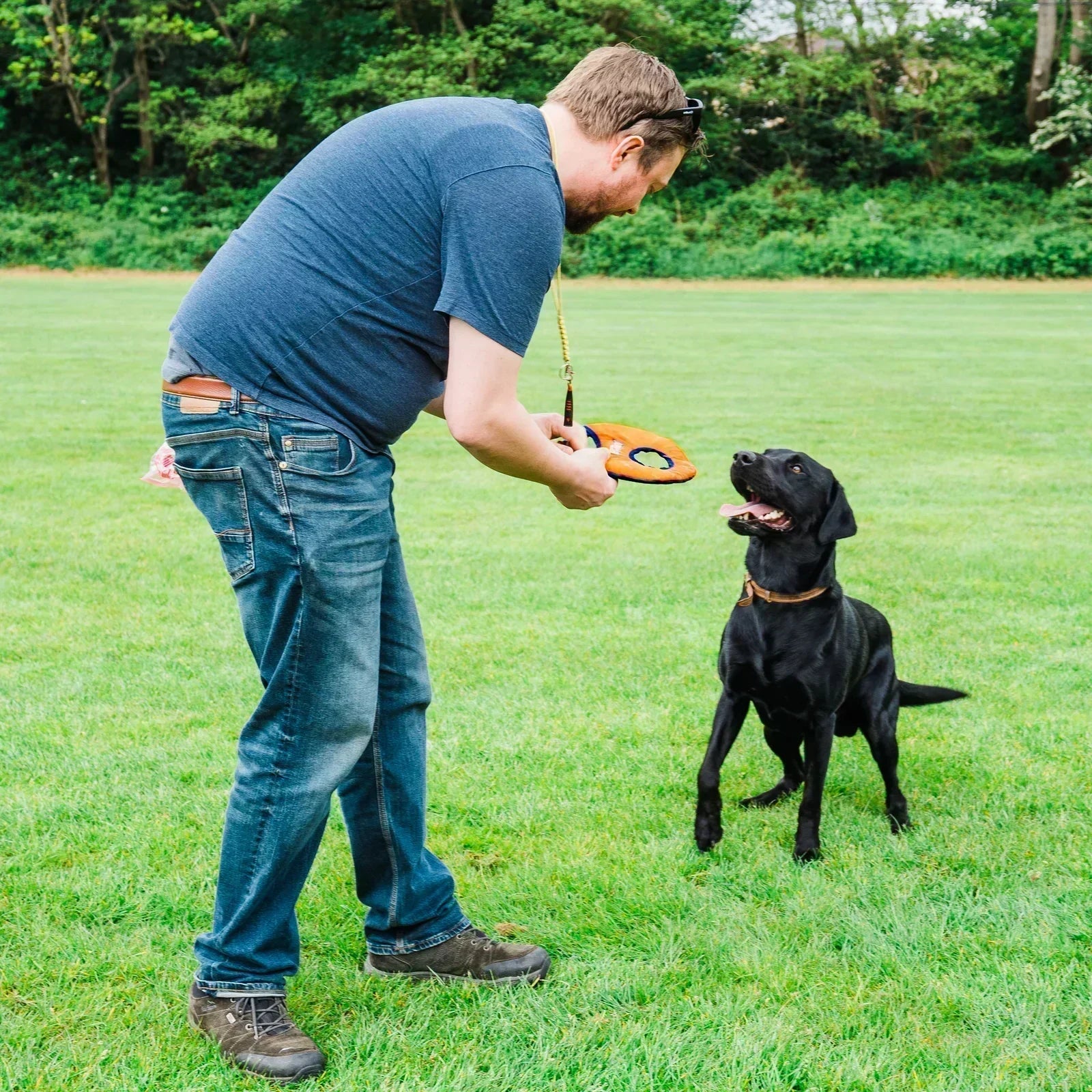 Dog playing frisbee with Aero-Tug dog Frisbee