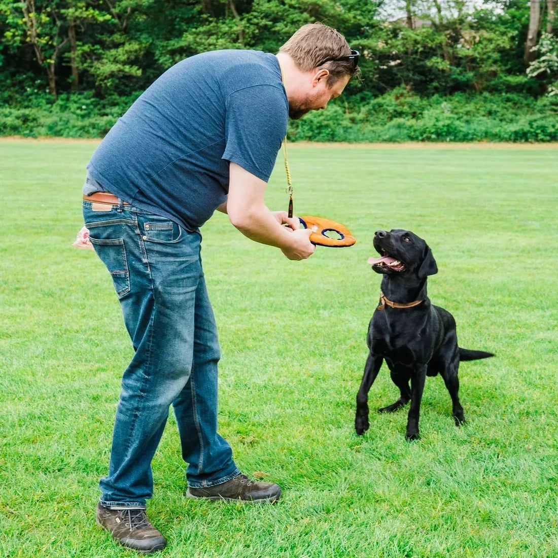How to teach your dog to play frisbee