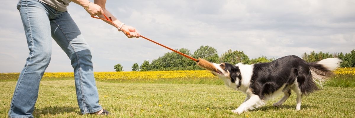 Discover crazy-focused motivation!