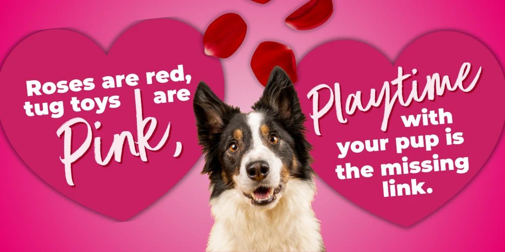 Flash Valentine’s Sale - show your dog some love