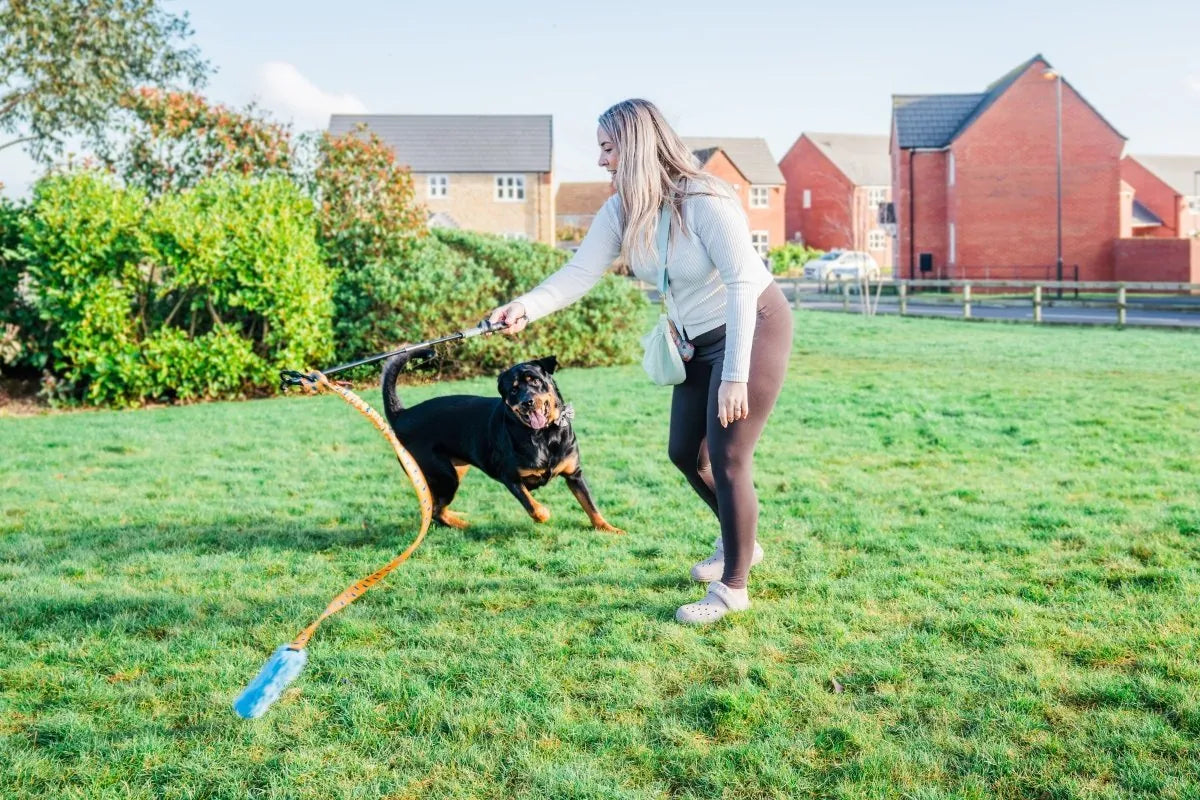 Dog outside playing with flirt pole and whip it attached