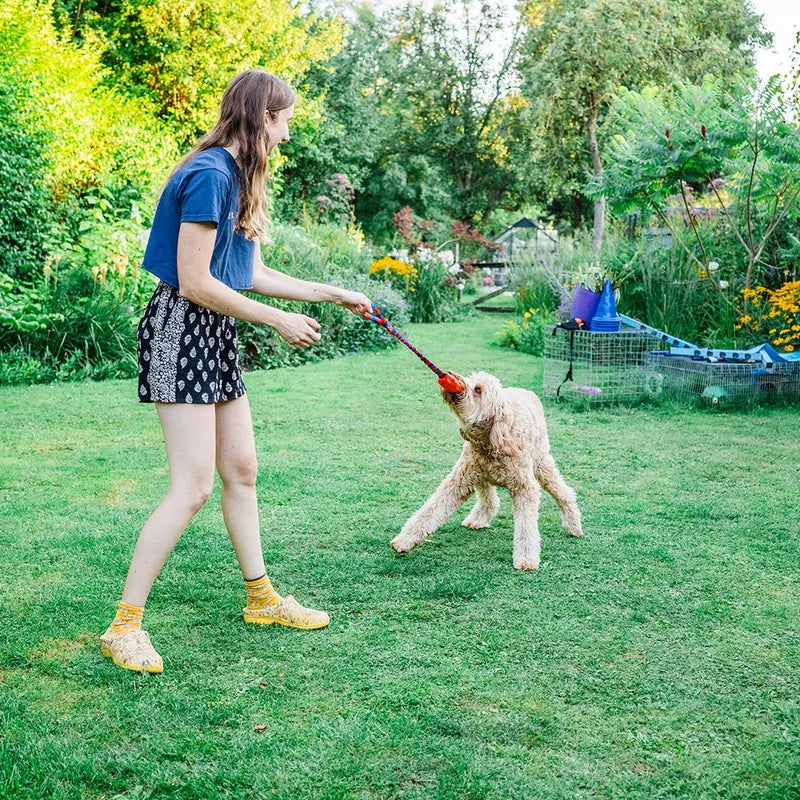 Dog playing tug with the Bright Fauxtastic tug toy in the garden during bonding and recall training