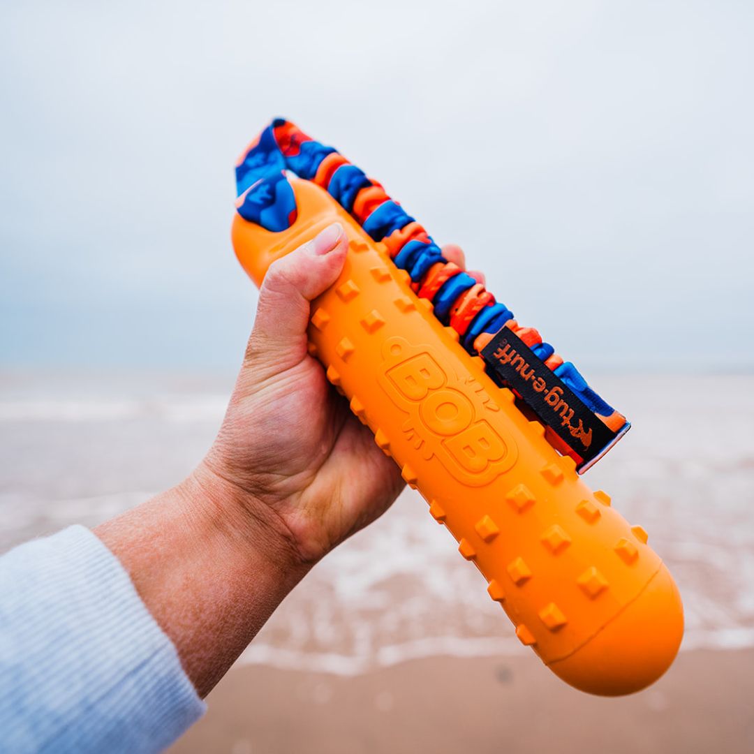 Hand holding BOB: The 3-in-1 Dog Dummy on the beach - Aqua Purple - Tug-E-Nuff