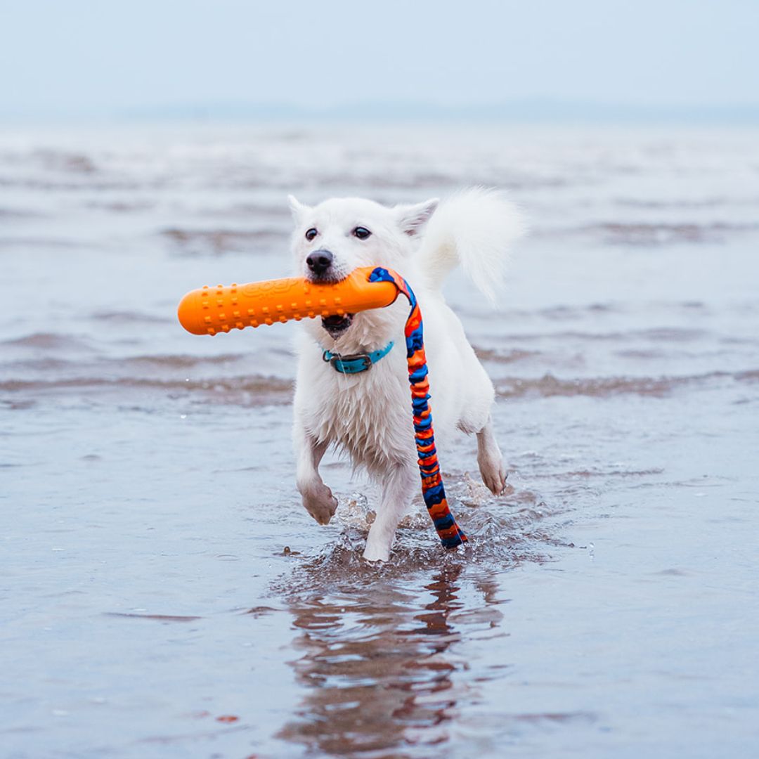 BOB: The 3-in-1 Dog Dummy