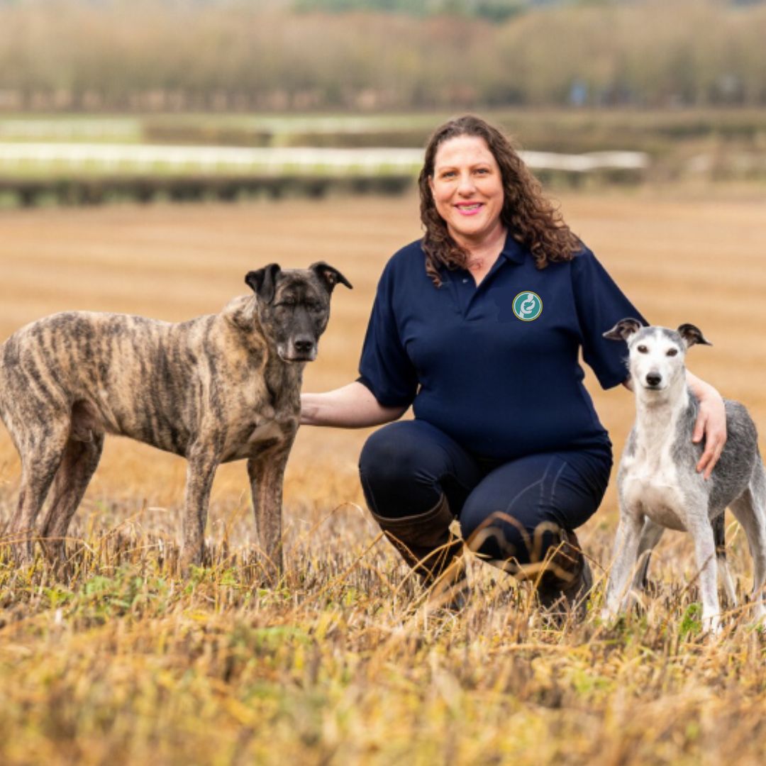 Jo Middleton Canine Principles