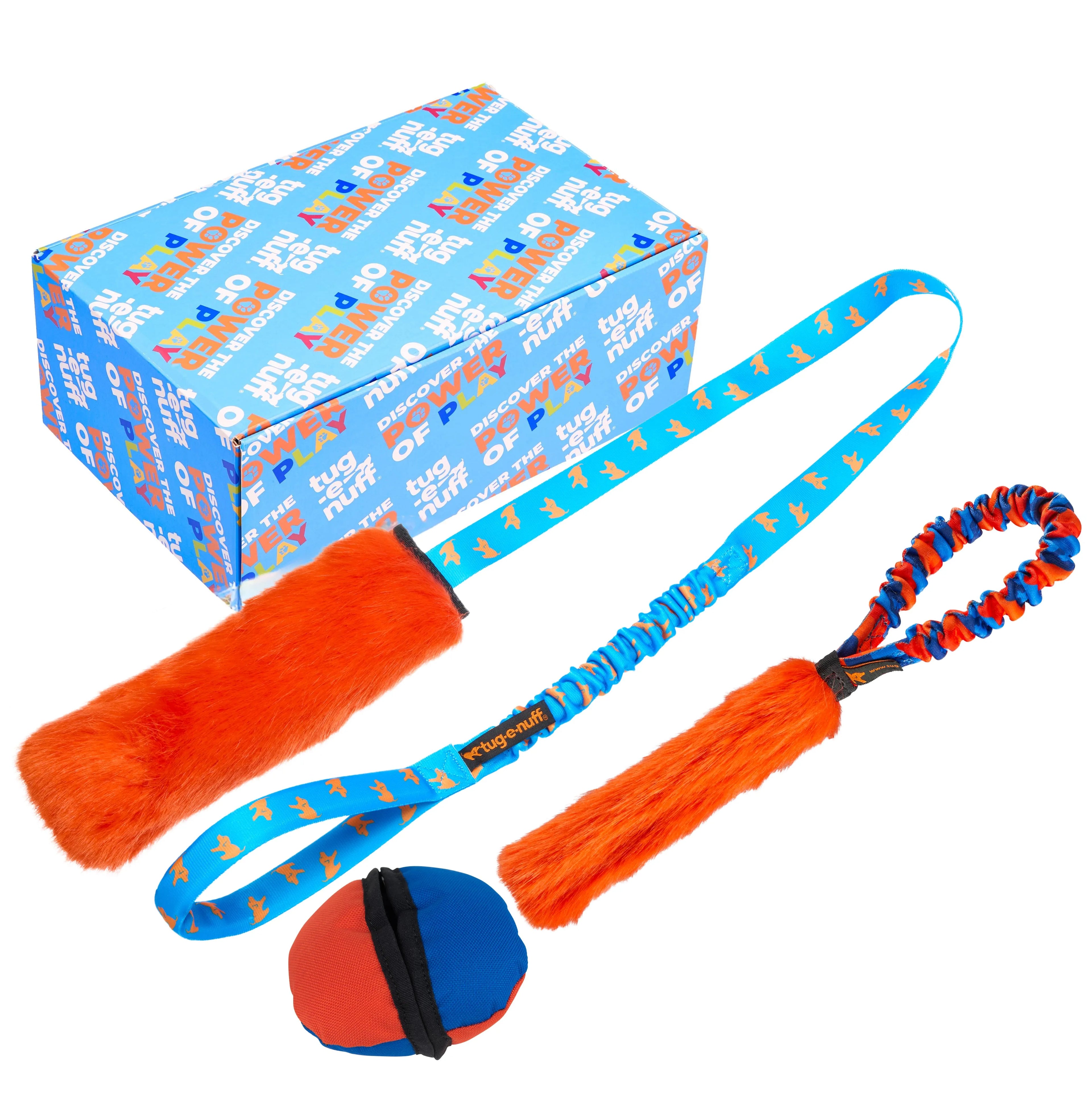 Puppy Playtime Gift Box