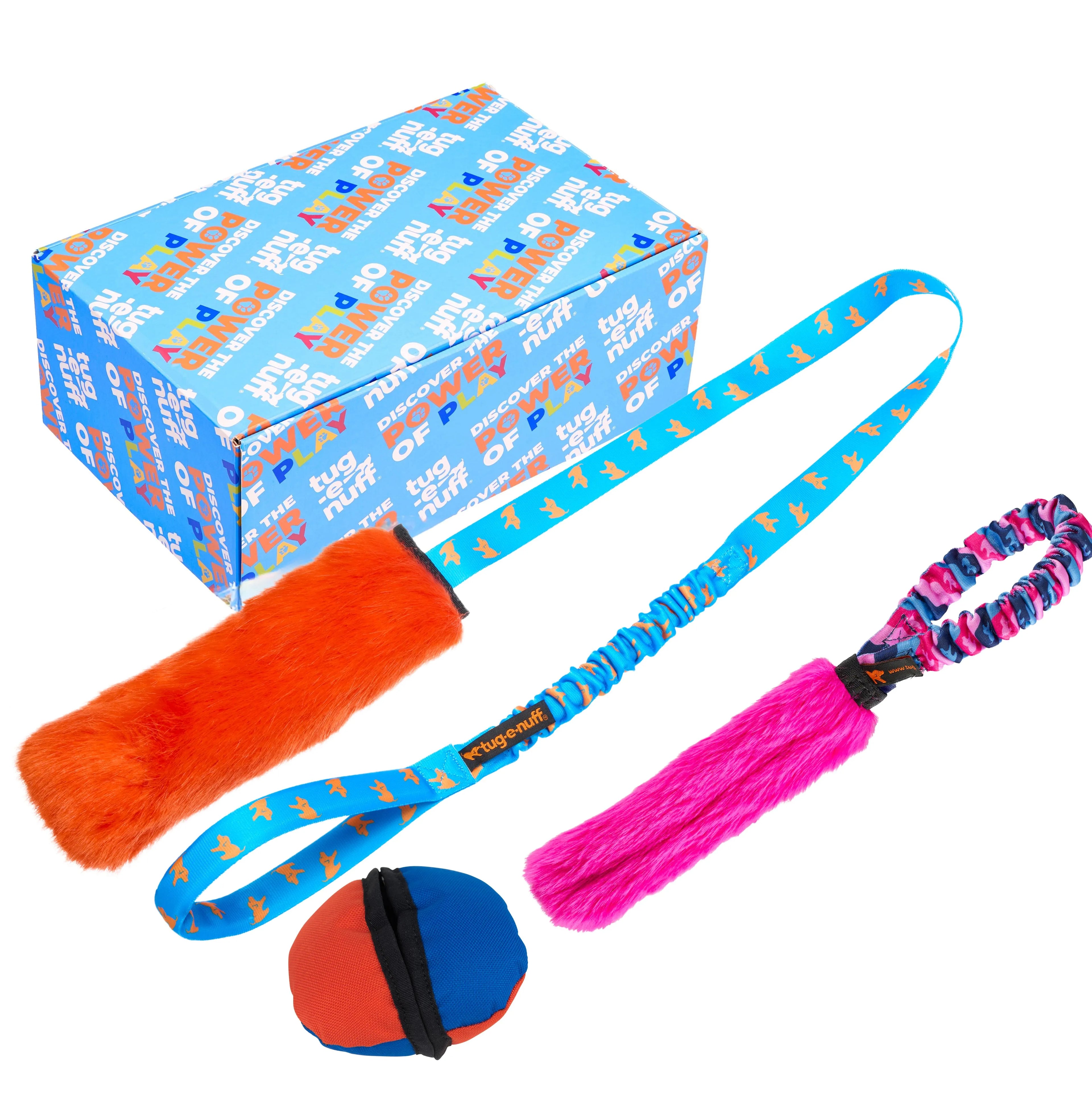 Puppy Playtime Gift Box