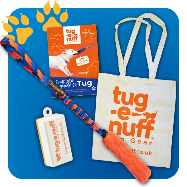 Power Of Play Bundle