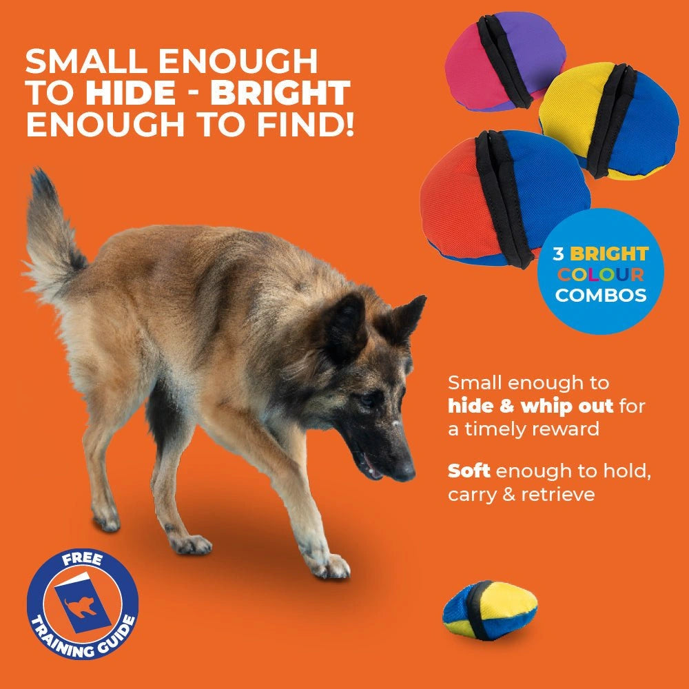 Dog playing with colourful clam treat dog toys on an orange background