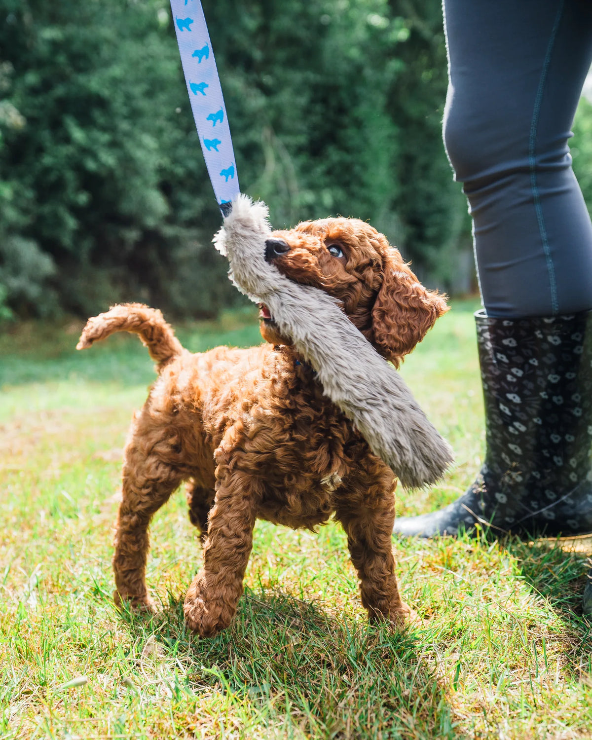 Faux Fur Bungee Chaser Tug