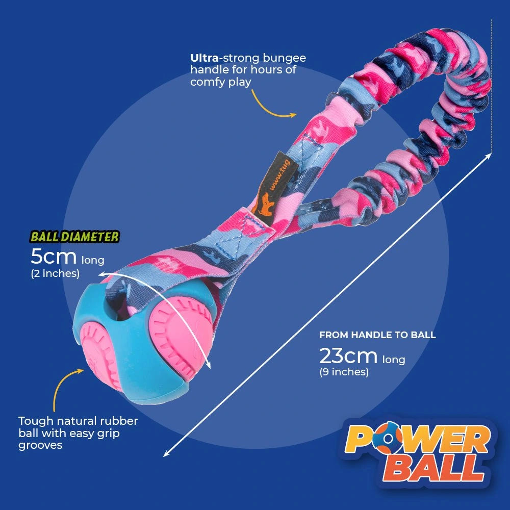 Dog toy with colorful handle and ball, with toy dimensions on a blue background.