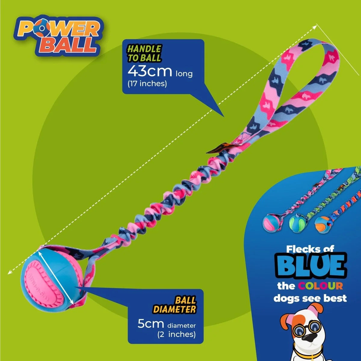 Dog Toy - Powerball dimensions and sizes with a highlight showing the colour blue that dogs see best.