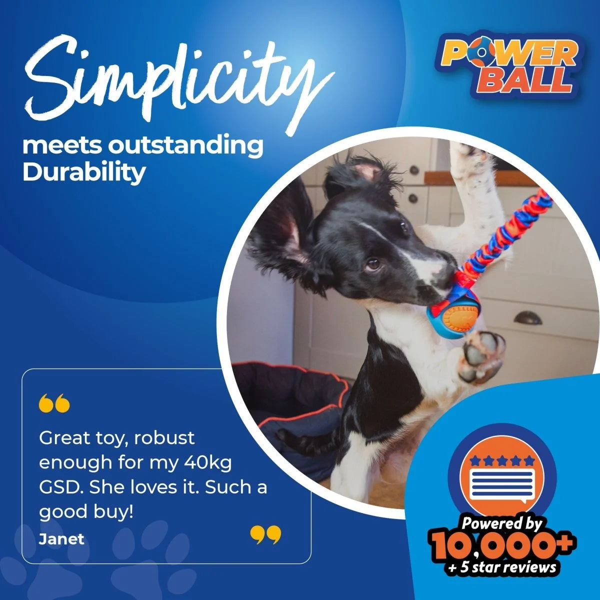 Dog playing with a toy, surrounded by text about simplicity, durability, and PowerBall logo.