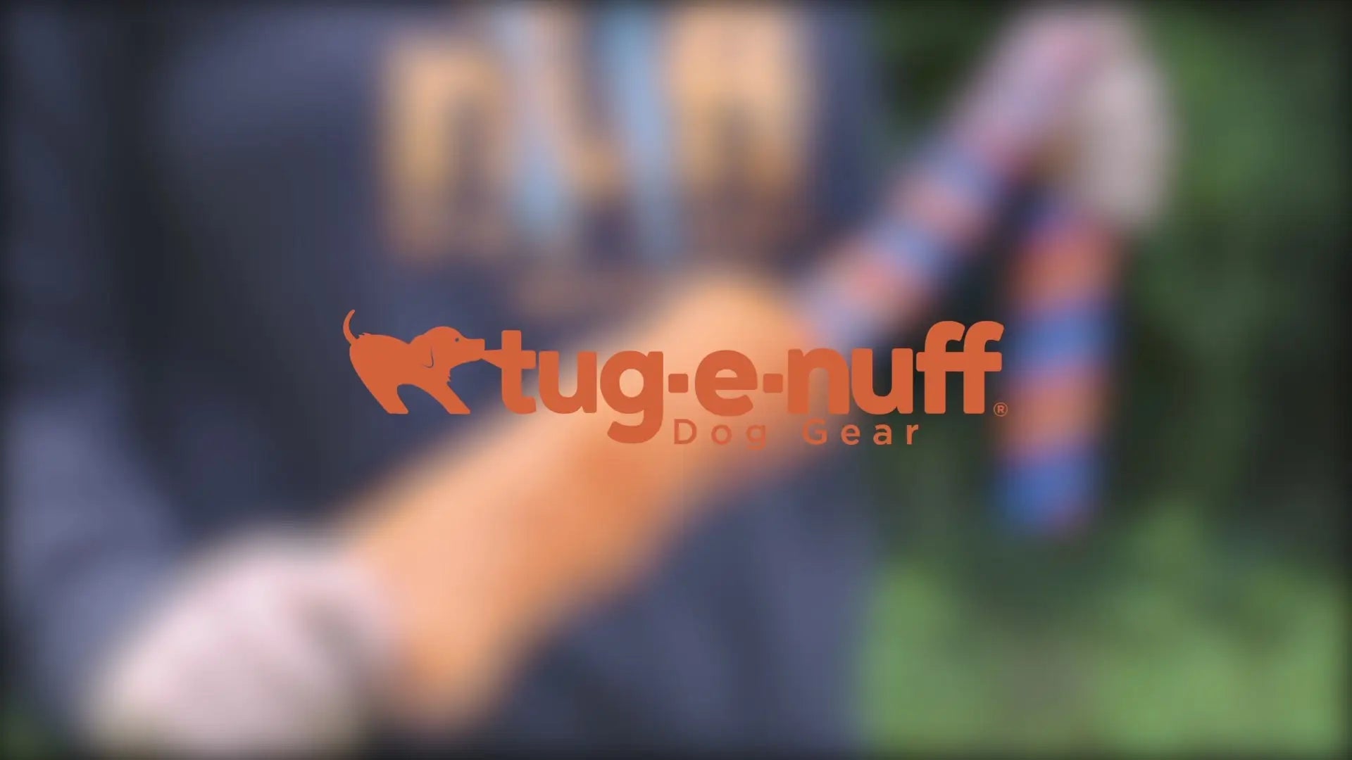 Power Of Play Bundle