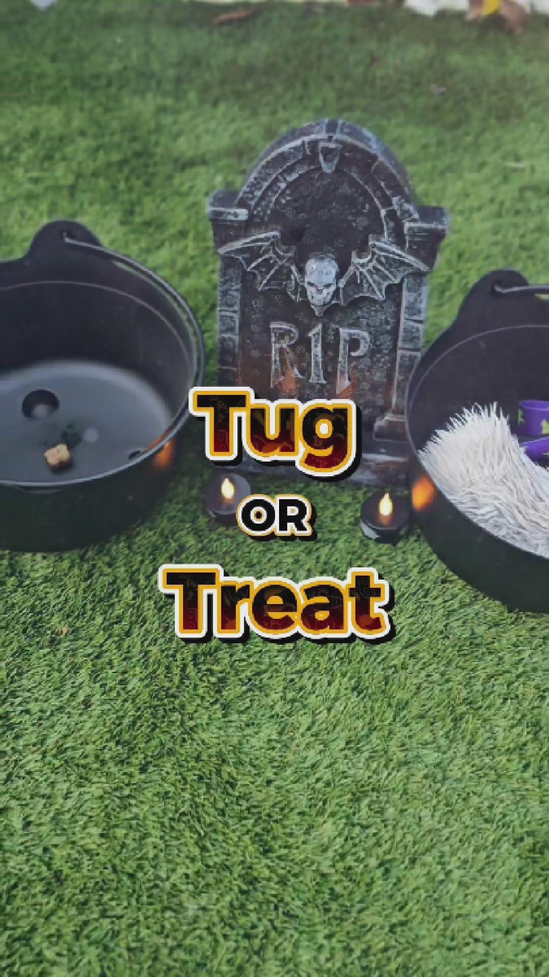 Tug or Treat | Game for dogs