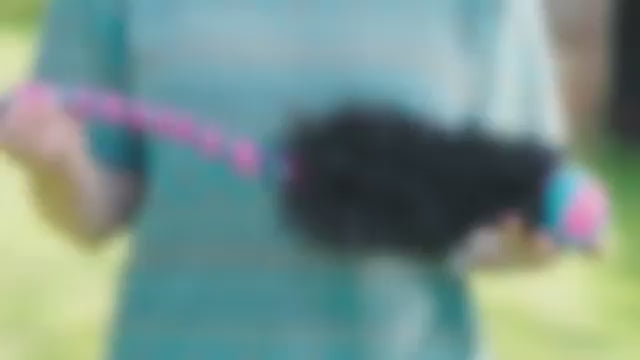 Wondabaa PowerBall Bungee