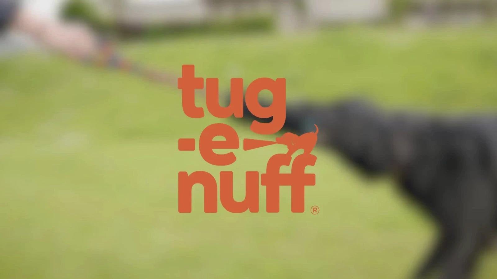 About Tug-E-Nuff Video