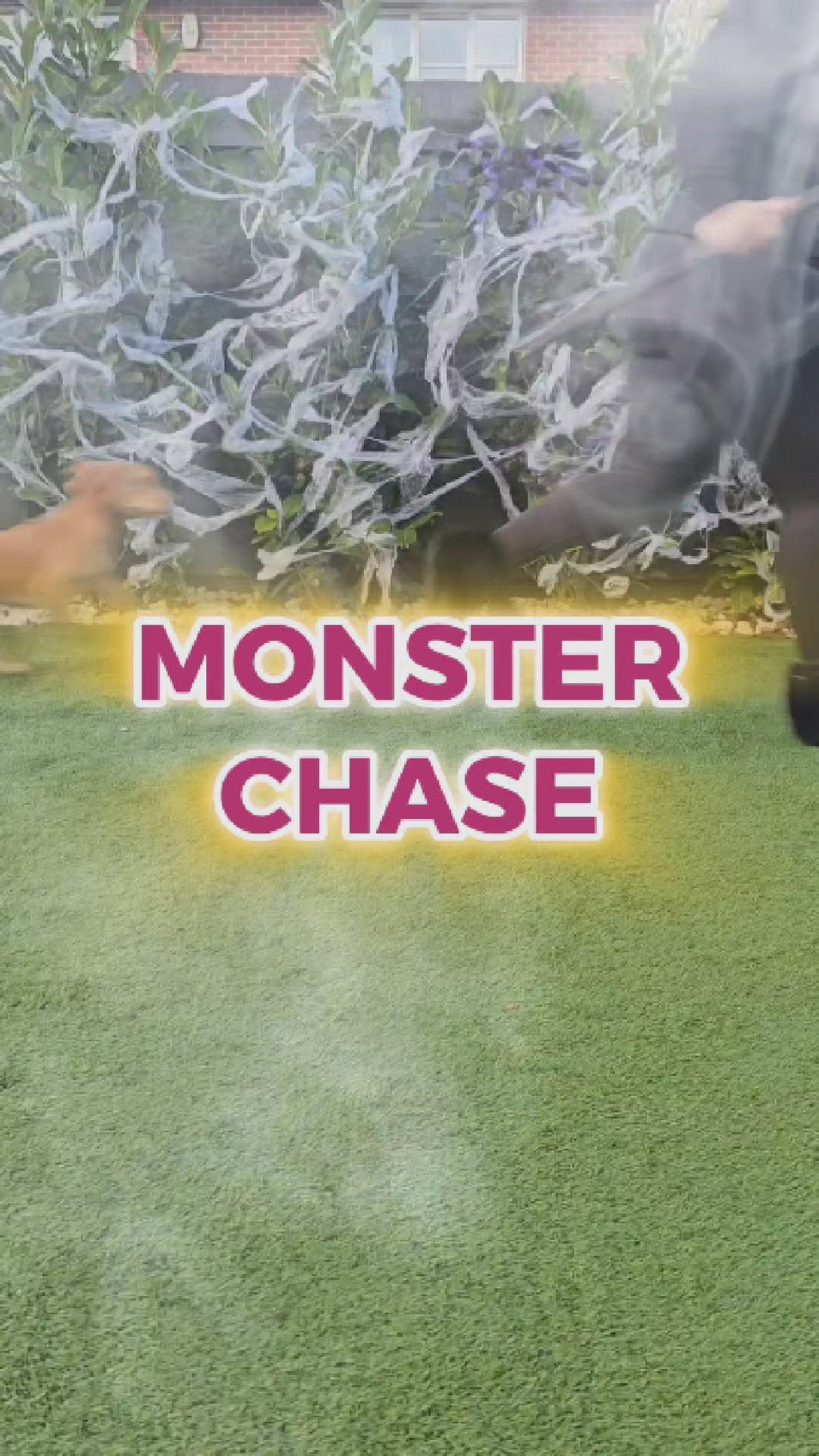 Monster Chase ~ Game for dogs