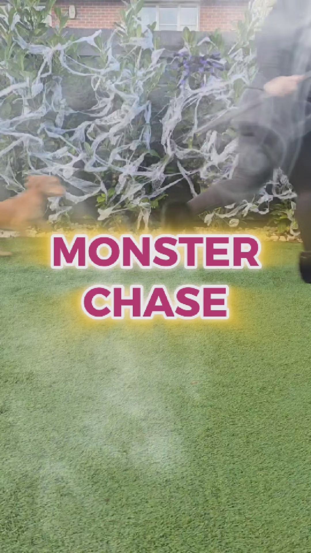 Monster Chase ~ Game for dogs