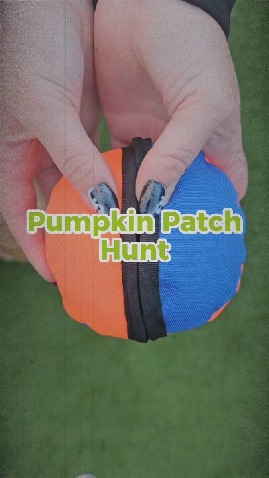 Pumpkin Patch Hunt | Game for dogs