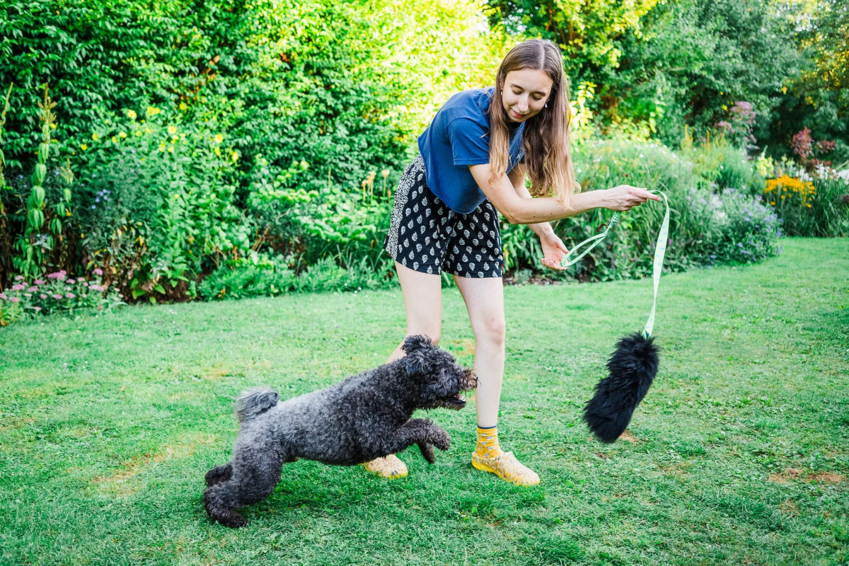 Sheepskin Bungee Chaser