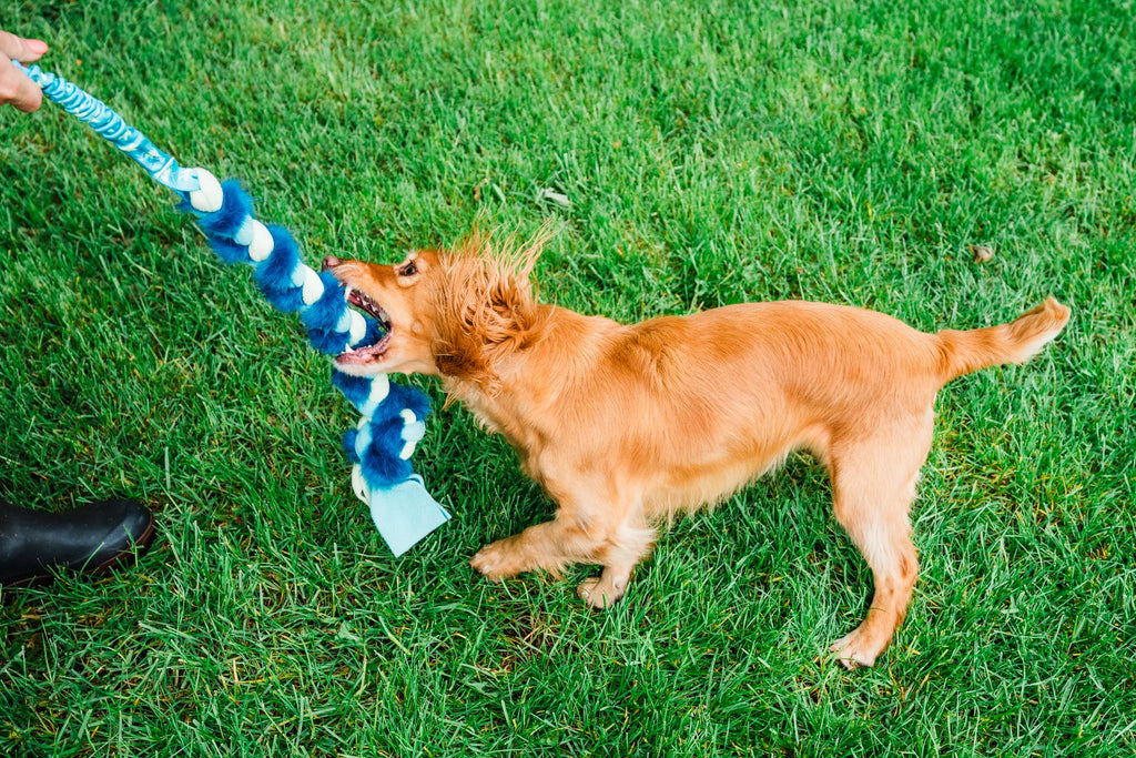 Twizzler